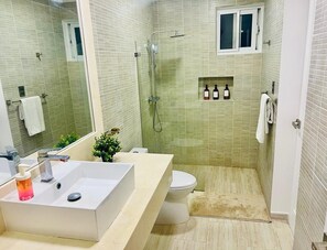 Hair dryer, towels, soap, toilet paper