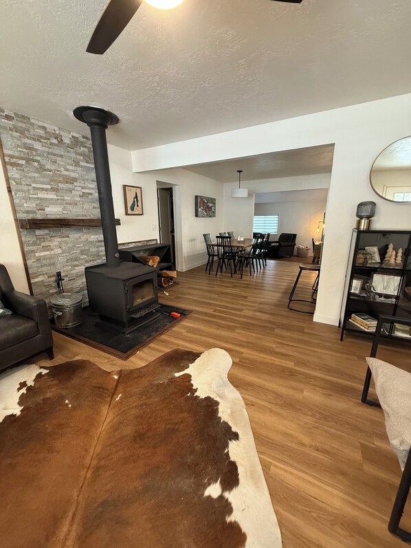 Smart TV, fireplace, computer monitors