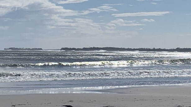 A beach with waves and a distant tree line under a partly cloudy sky.