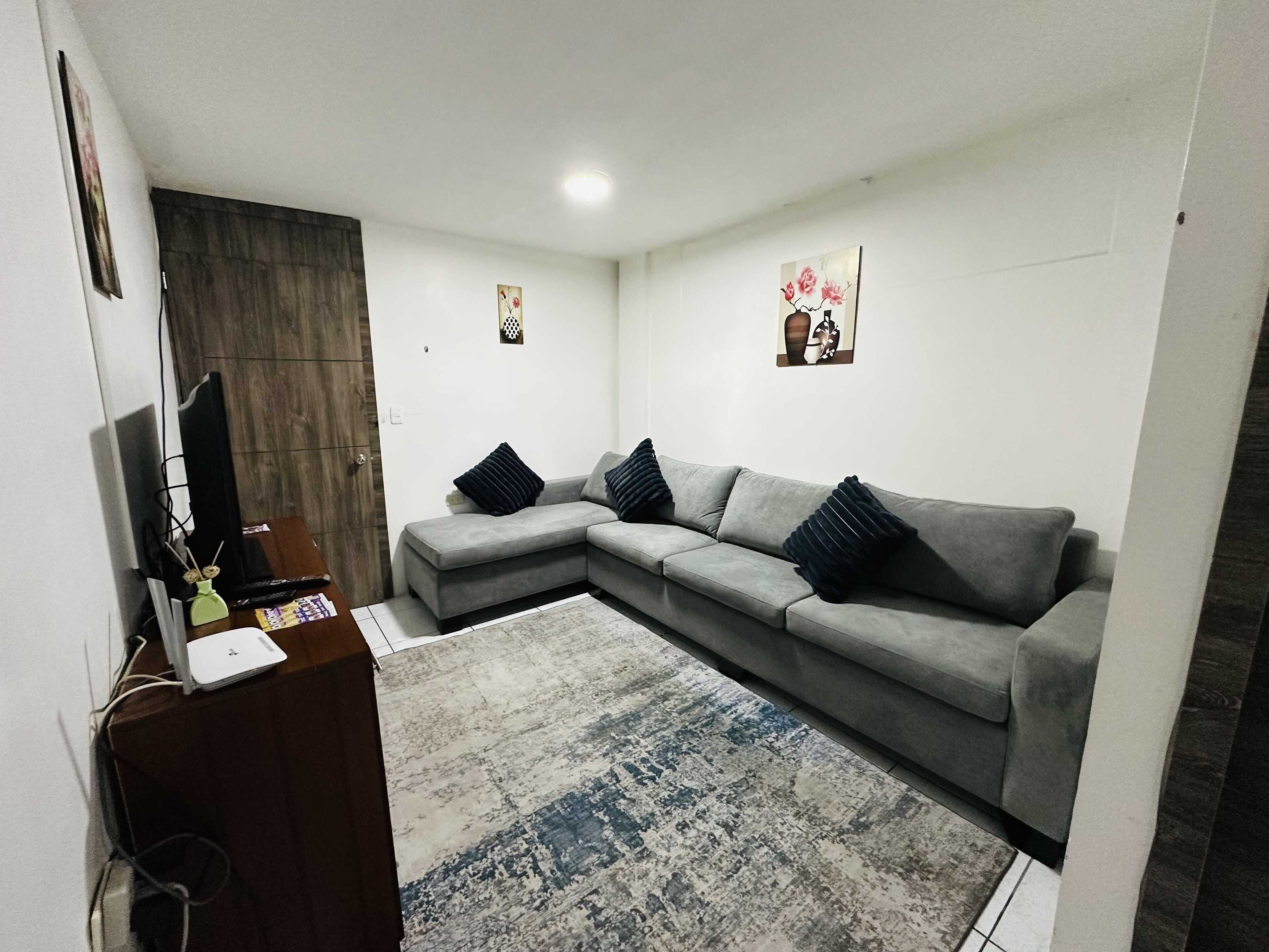 A living room with a grey sectional sofa, a small rug, and two wall-mounted paintings.