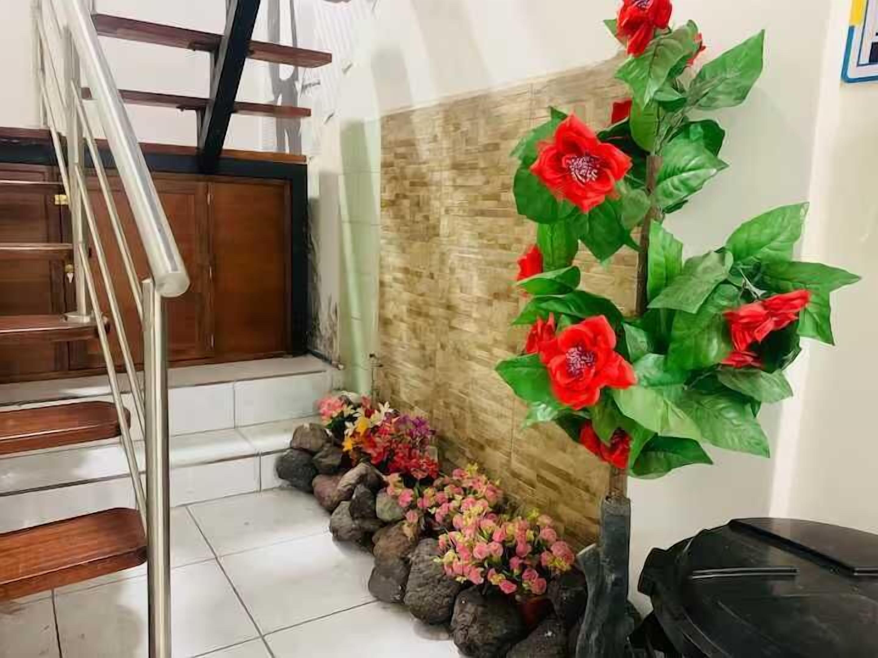 Interior de l'entrada