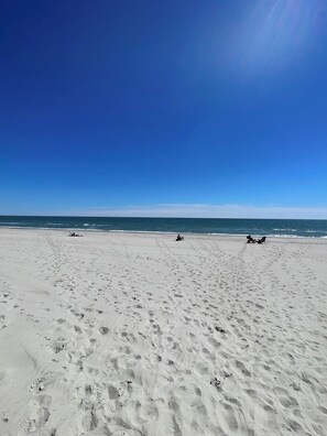 Beach - Charming 2-bedroom cottage near downtown Surfside Beach. Quick walk to the beach (Surfside Beach)