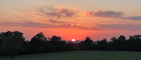 A sunset over a grassy field with trees in the foreground and a fence in the foreground.