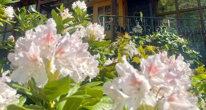 B&B Apart Hotel Goldener Hahn-Guesthouse