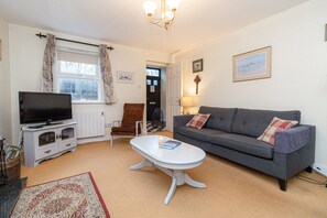 تلفزيون، مدفأة، مشغل دي في دي