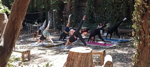 Yoga - Hotel Glamping CM Mindfulness (Mexico City)