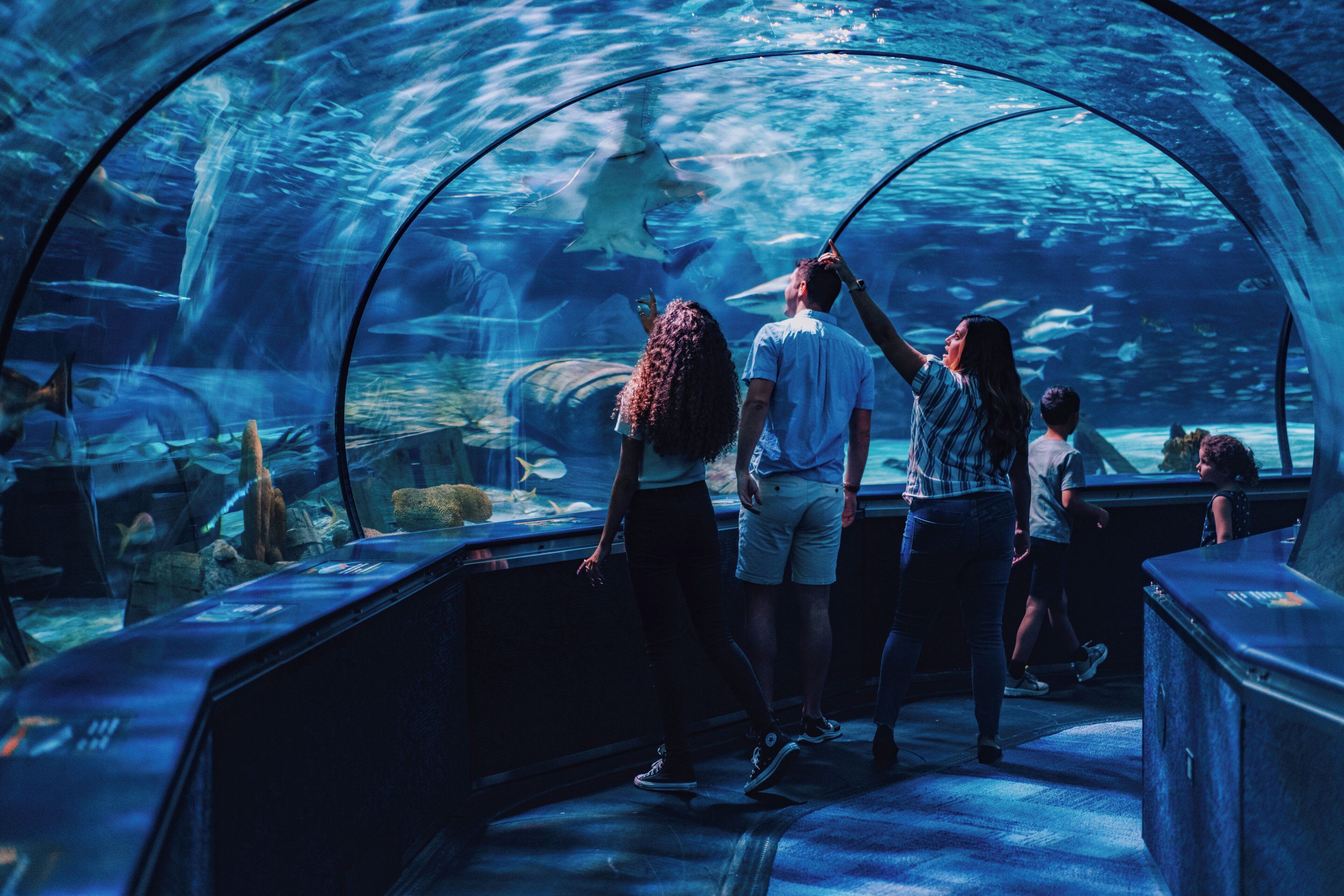 An aquarium with a large viewing dome, allowing visitors to observe marine life.