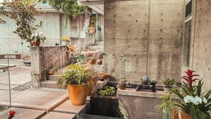 Un jardin intérieur moderne, agrémenté de diverses plantes en pot et d’un petit élément décoratif aquatique.