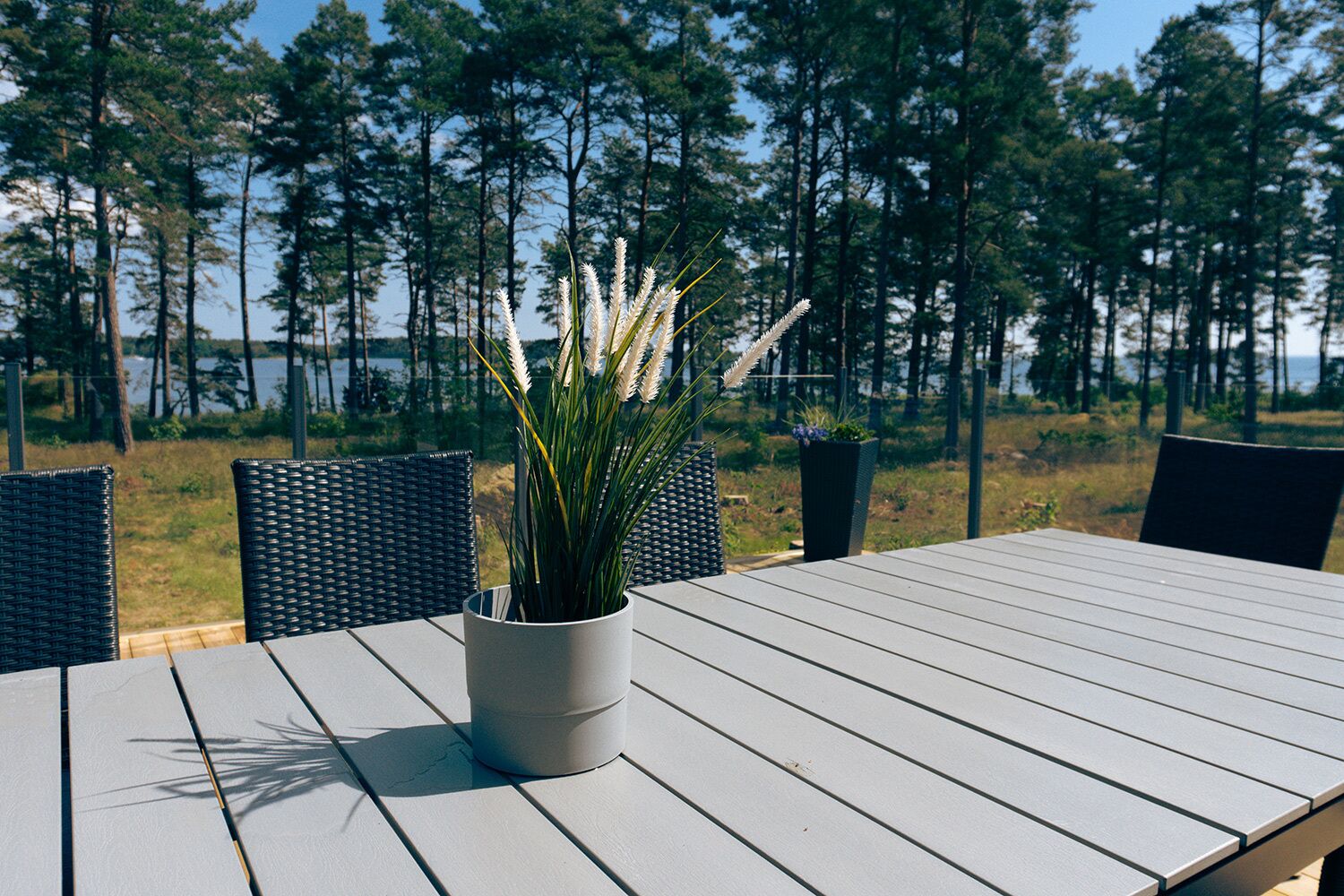 A table with a potted plant, surrounded by chairs, set outdoors with a view of tall trees and a body of water in the background.