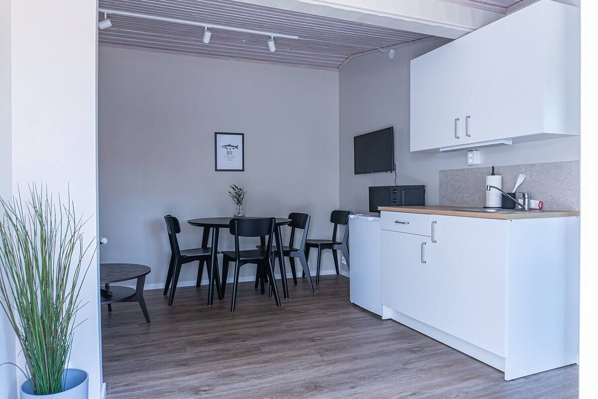 A compact kitchen with a dining area, a flat-screen TV, and a potted plant.