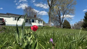 Une maison avec une pelouse devant, une tulipe rouge et un ciel bleu dégagé.