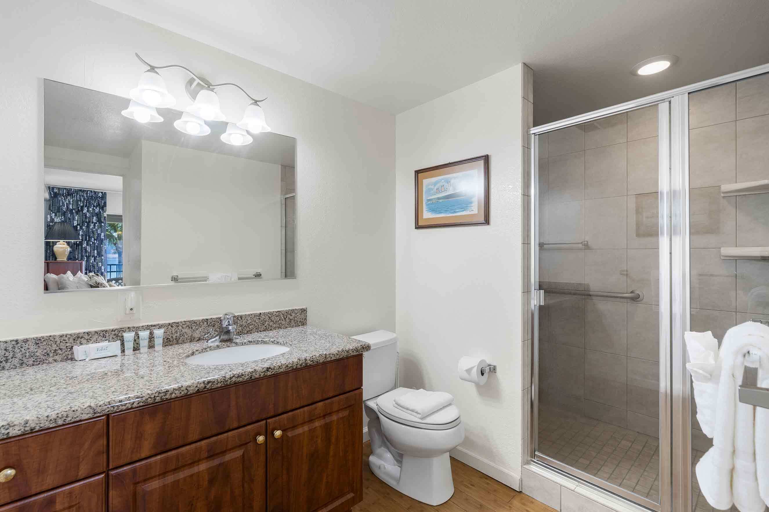Une salle de bain dotée d’un lavabo avec un plan de travail en granit, d’un meuble-lavabo en bois, de toilettes blanches et d’une cabine de douche en verre.