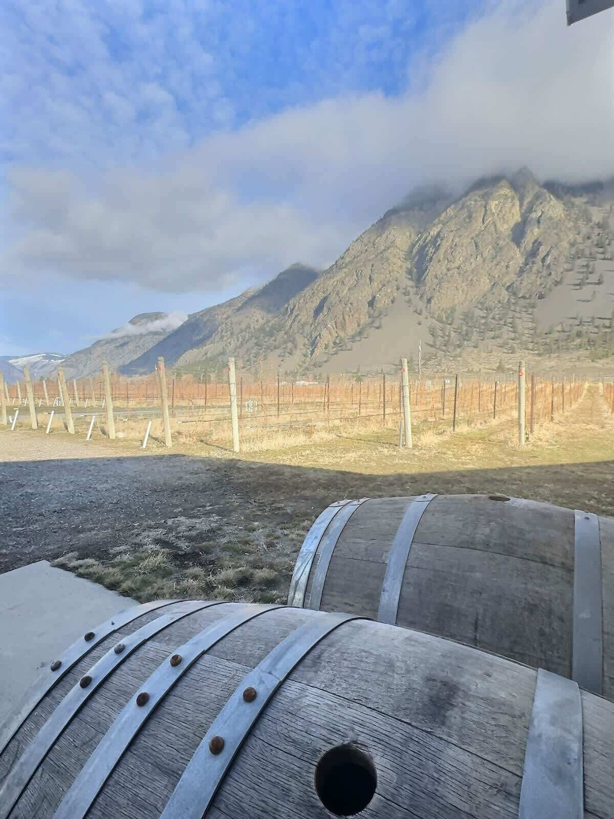 Stunning spring views of Hererra vineyard backed by mountain views from the Herrera Guest Home. Rustic charm describes this peaceful, scenic setting.