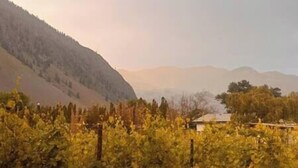 A vineyard with rows of grapevines, a building in the background, and a mountain range. - Full Family home on Vineyard Estate (Keremeos)