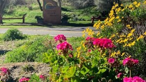 A sign for Canyon Creek Resort with a natural landscape in the background. - Yurt - Beautiful One-Bedroom Yurt (Winters)