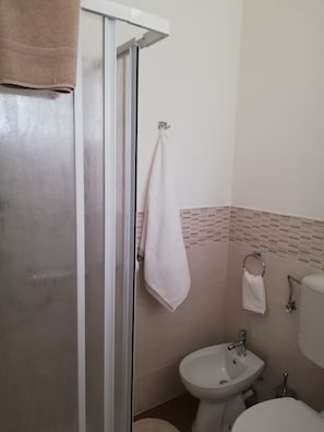 Shower, hair dryer, bidet, towels