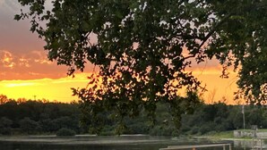 Una vista serena su un lago al tramonto, con alberi e una zona erbosa recintata.