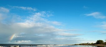 Beach Gardens-walk to the beach
Moore park beach