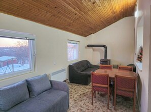 Smart-TV, Kamin
