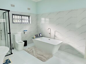 Ducha, toallas, jabón, papel higiénico