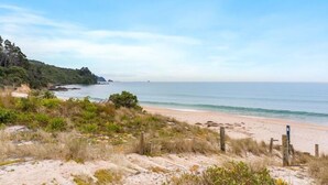 Una playa con orilla arenosa, algo de vegetación y cielo despejado.