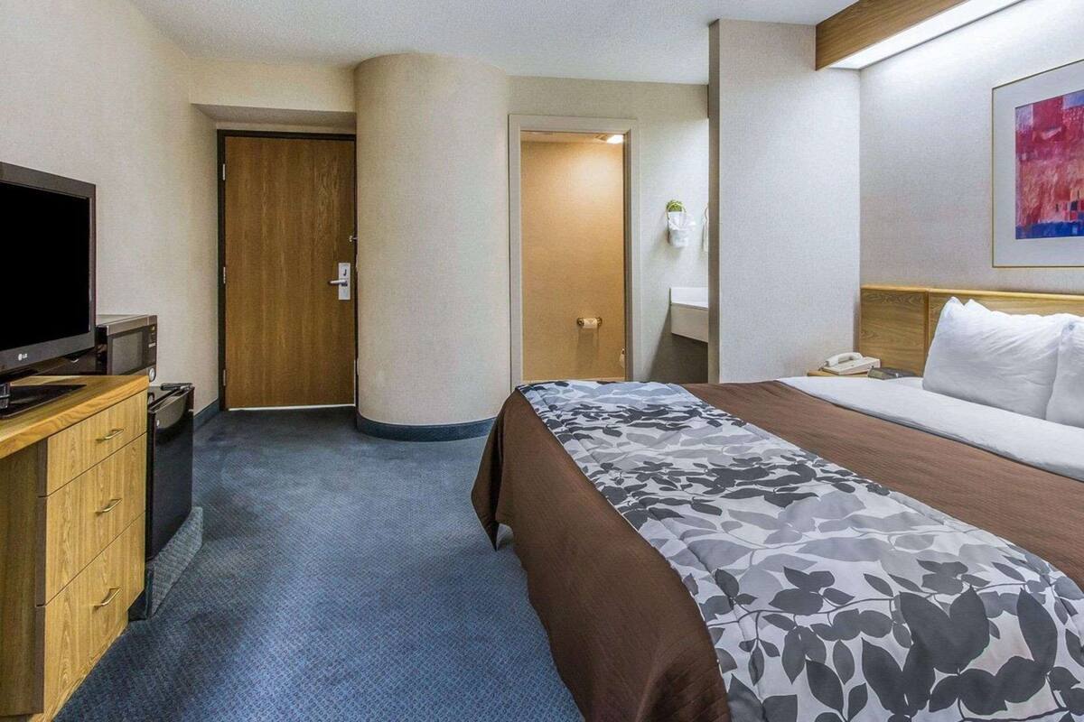 Standard Room, 1 King Bed, Non Smoking | 1 bedroom, desk, laptop workspace, iron/ironing board