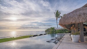 An infinity pool with a view of the ocean, a thatched roof structure, and a potted plant.
