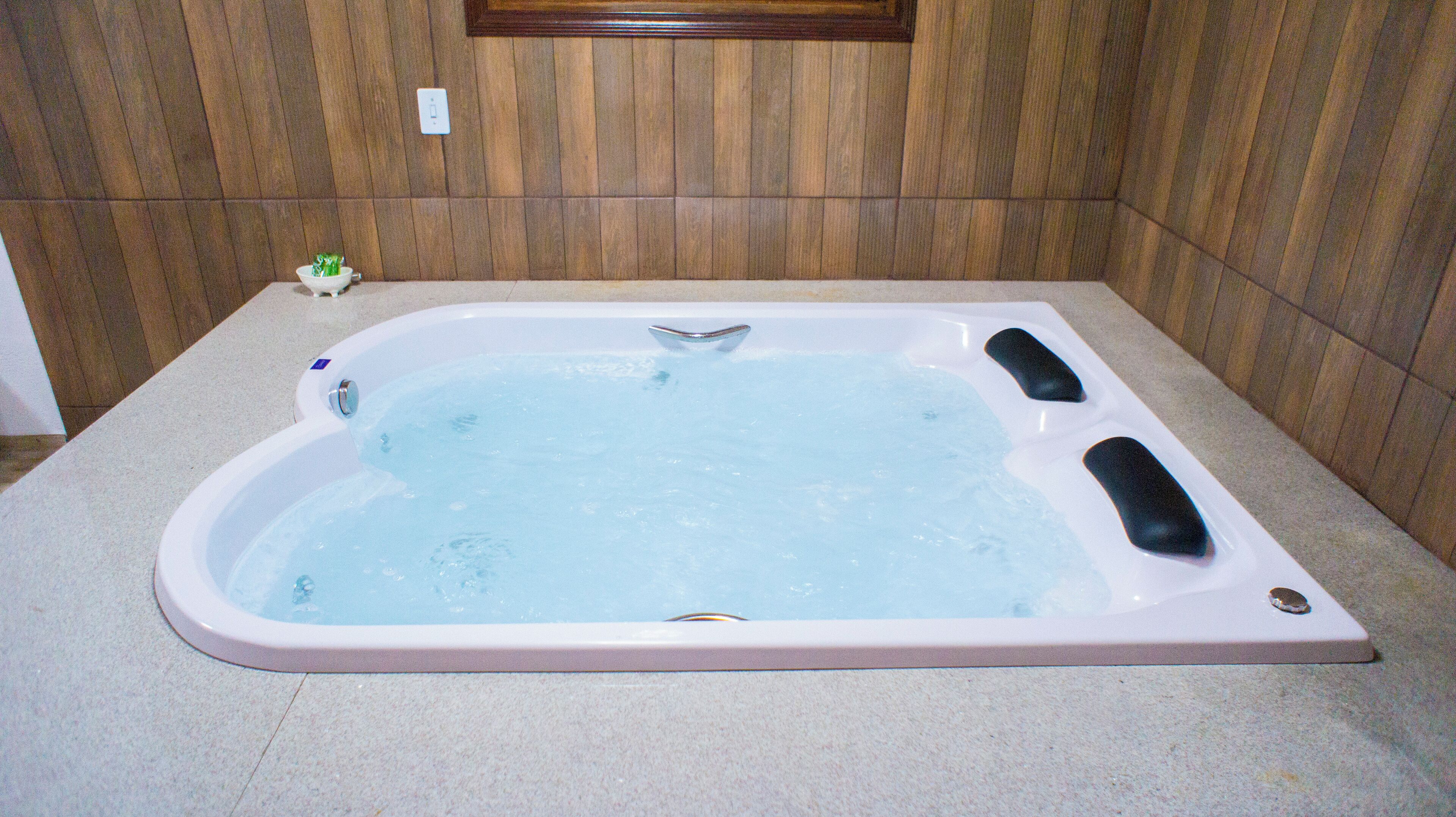 A rectangular hot tub with a built-in seat and a small plant on the side.