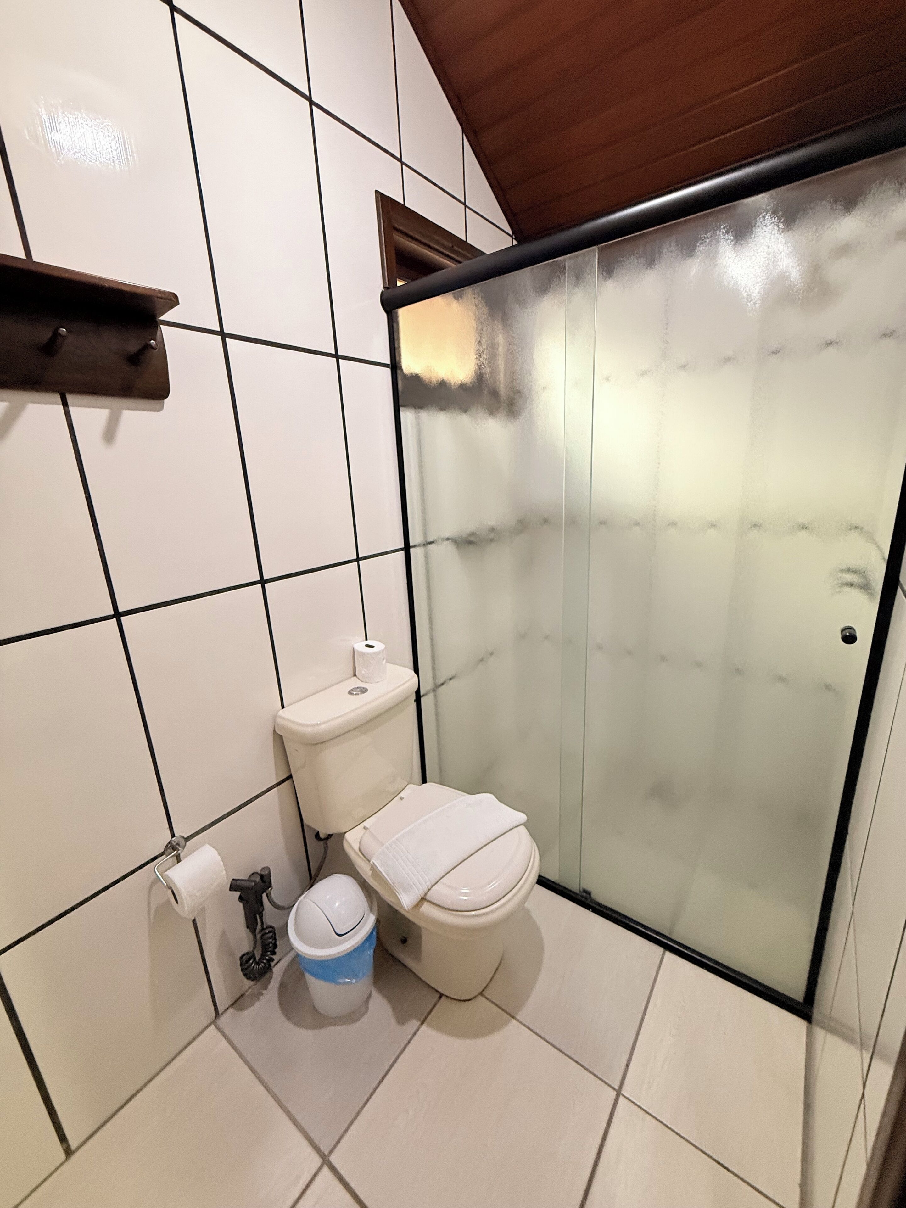 A bathroom with a toilet, a sink, and a shower enclosure.