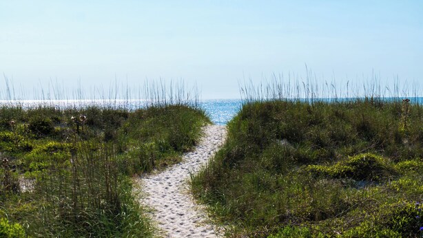 A sandy path leading to the sea, surrounded by tall grasses.