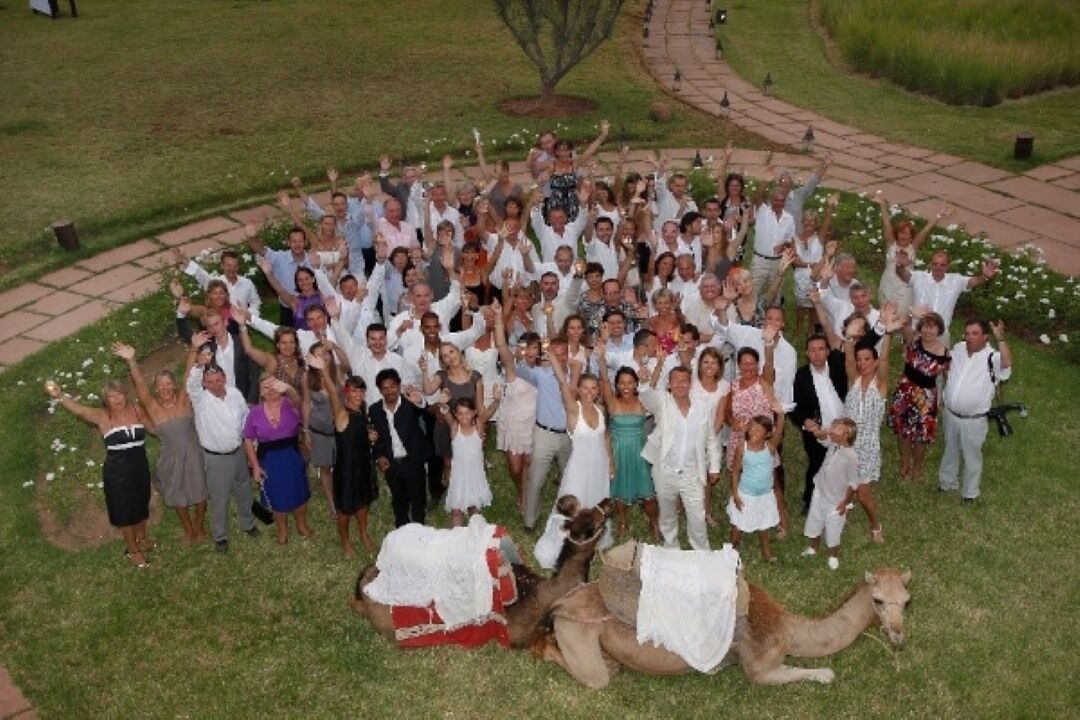 A group of people gathered outdoors, possibly at a wedding, with a camel and a decorated horse in the foreground.