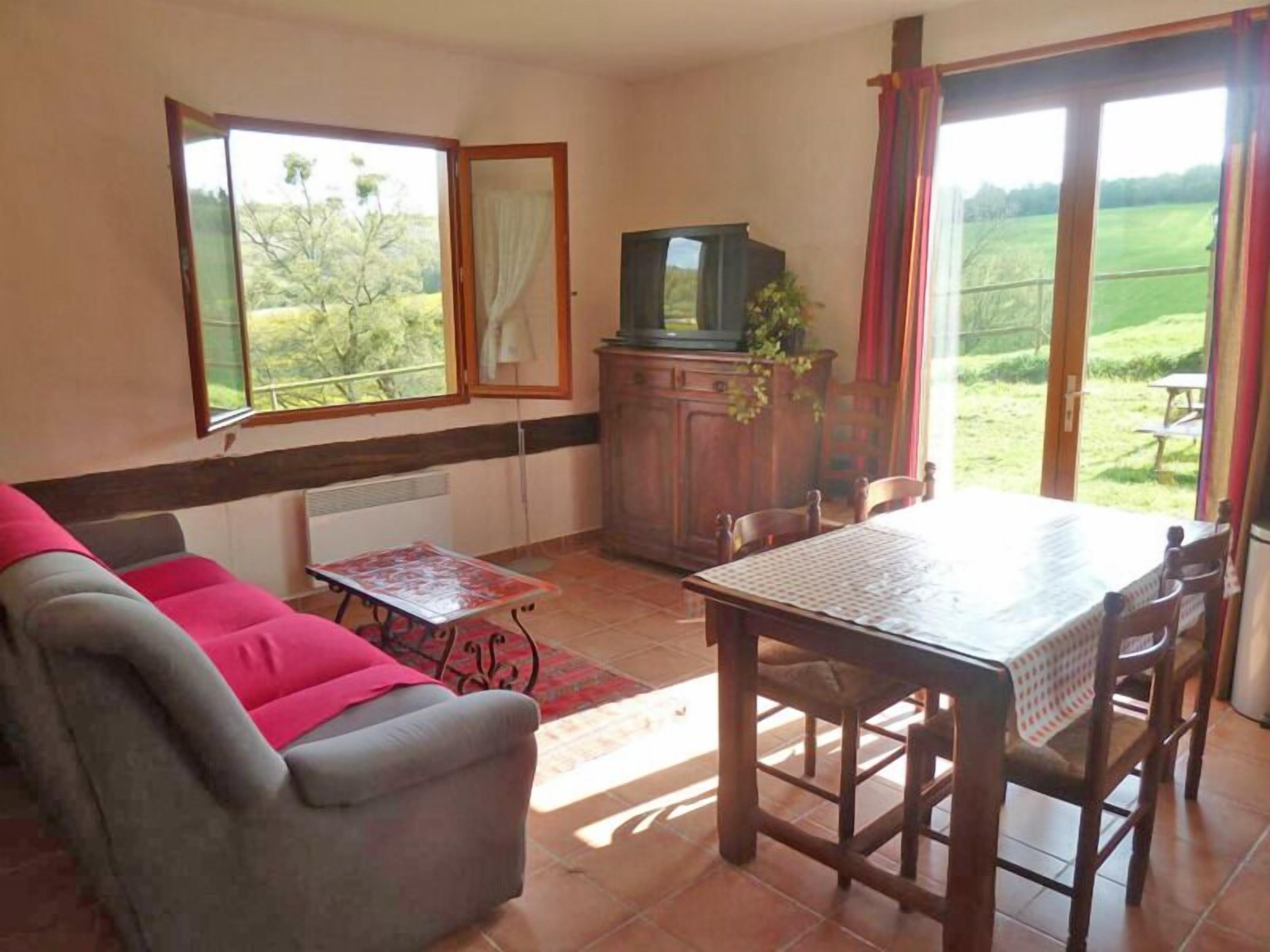 电视、DVD 播放器