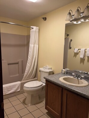 Hair dryer, towels, soap, toilet paper