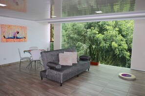 Smart TV, chimenea, libros