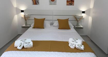 Vida Rooms