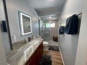 Shower, hair dryer, bidet, towels