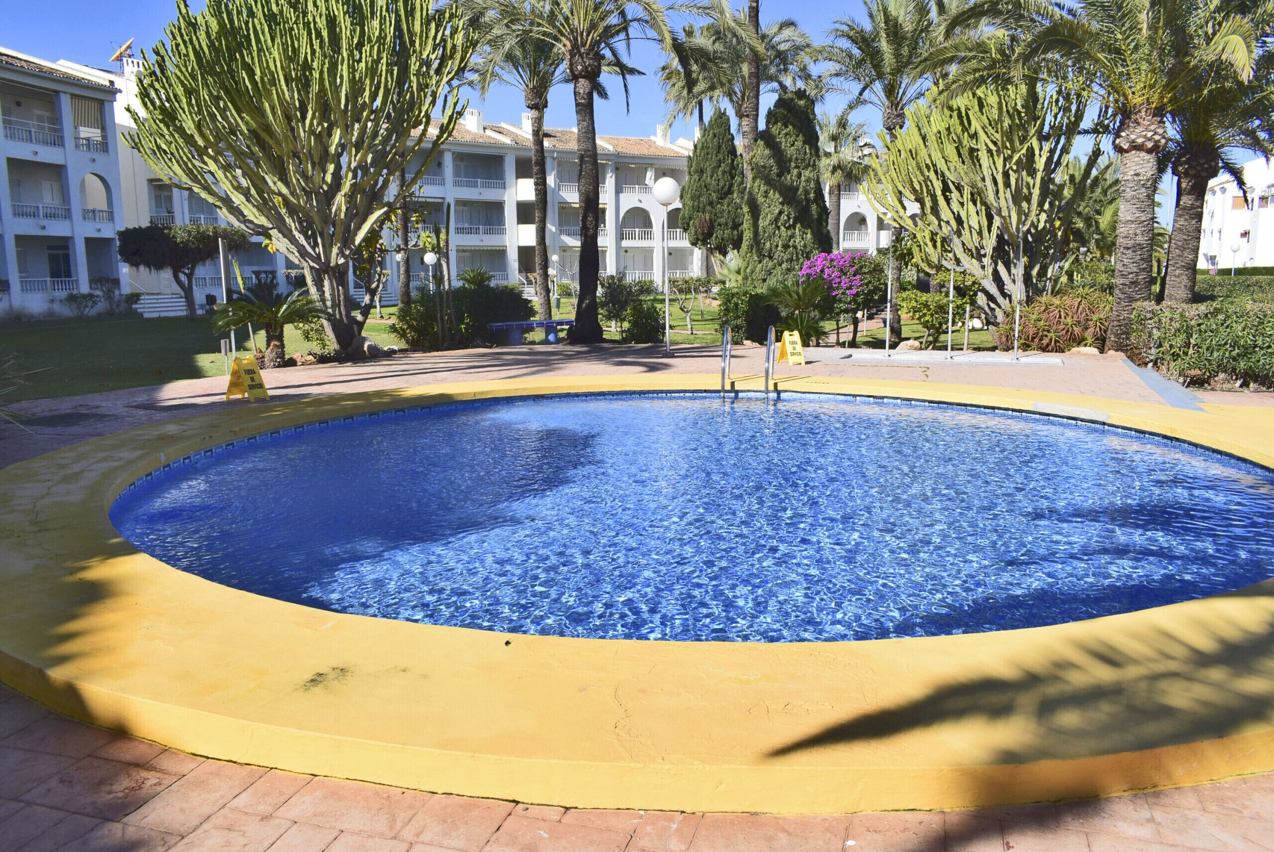 A circular pool with a yellow border, surrounded by palm trees and a building with balconies.