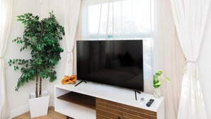 A modern living room with a flat-screen TV on a white cabinet, a potted plant, and a wicker basket. - MainCasa- Plunge Pool+Dog Run (St. Petersburg)