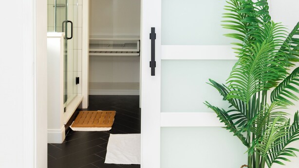 A room with a sliding door leading to a closet with hanging clothes, a potted plant, and a small mat on the floor. - MainCasa- Plunge Pool+Dog Run (St. Petersburg)