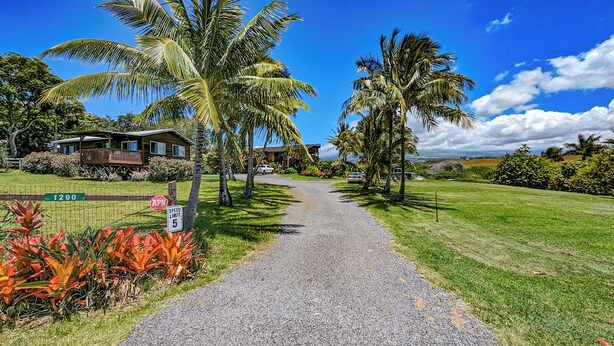A pathway leading to a house with a speed limit sign of 5, surrounded by palm trees and a grassy area. - Gods Peace Of Maui (Makawao)
