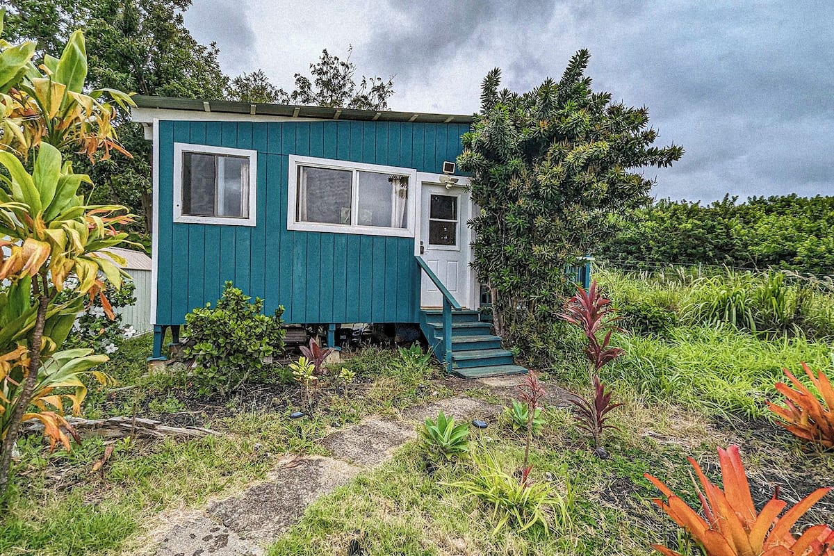 Standard Studio, 1 Queen Bed, Mountain View