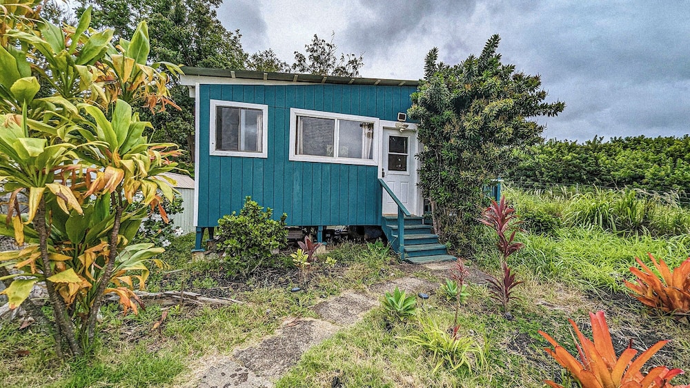 God's Peace of Maui Bed & Breakfast, LLC by null