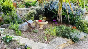 A garden with a rustic stone planter, a metal watering can, and various plants. - Aux Berges du Libre (Félines-Termenès)