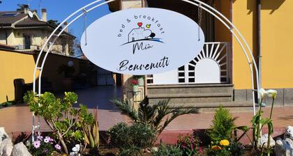 Miu' Bed and Breakfast