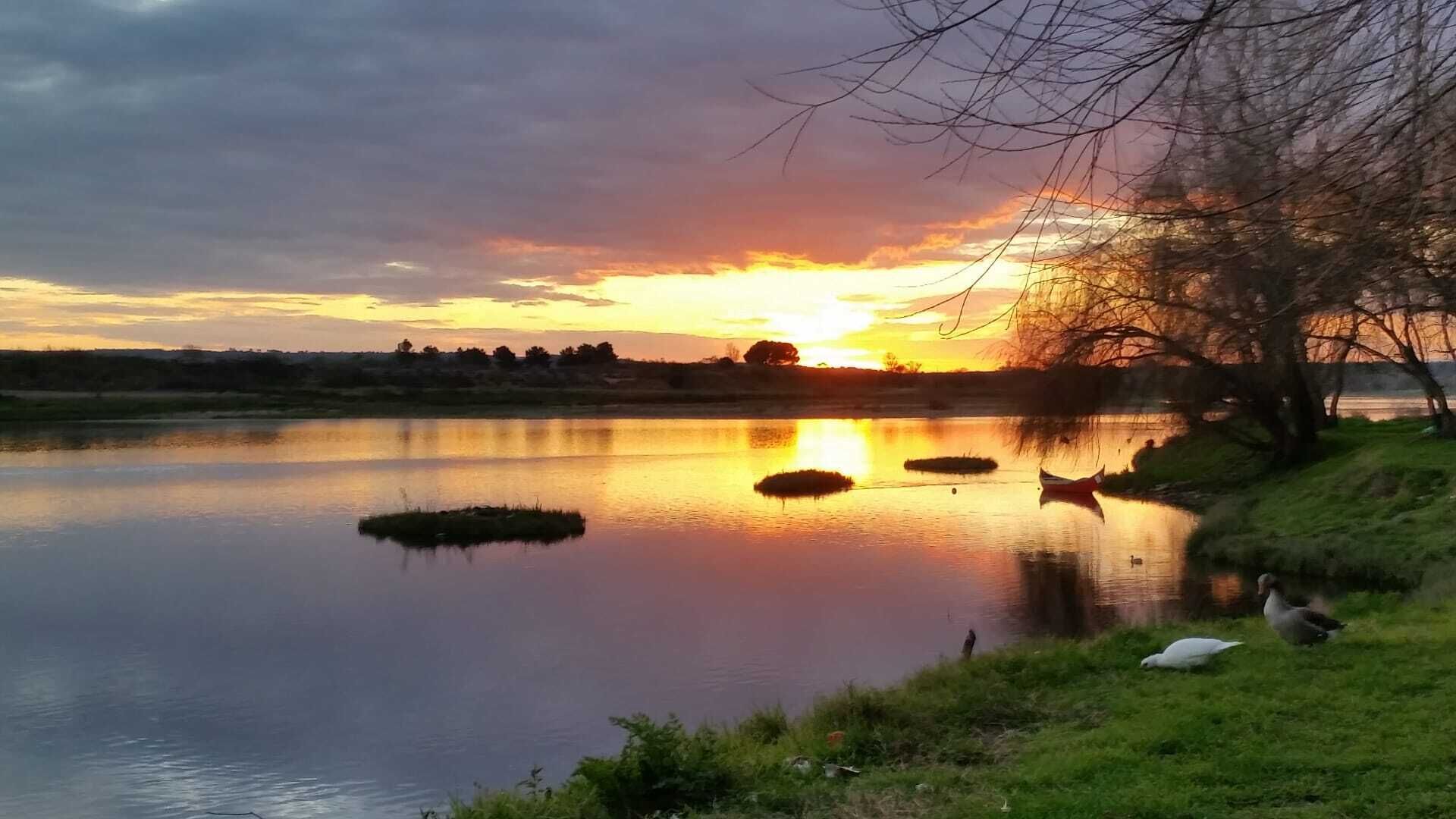 Um lago tranquilo ao pôr do sol com reflexos do céu, cercado por margens gramadas e árvores.