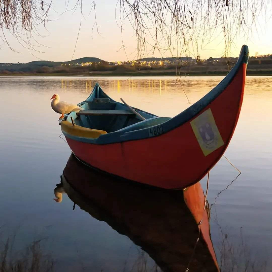 Ein rotes Boot mit einer Ente, angedockt an einem ruhigen Gewässer mit Sonnenuntergang im Hintergrund.