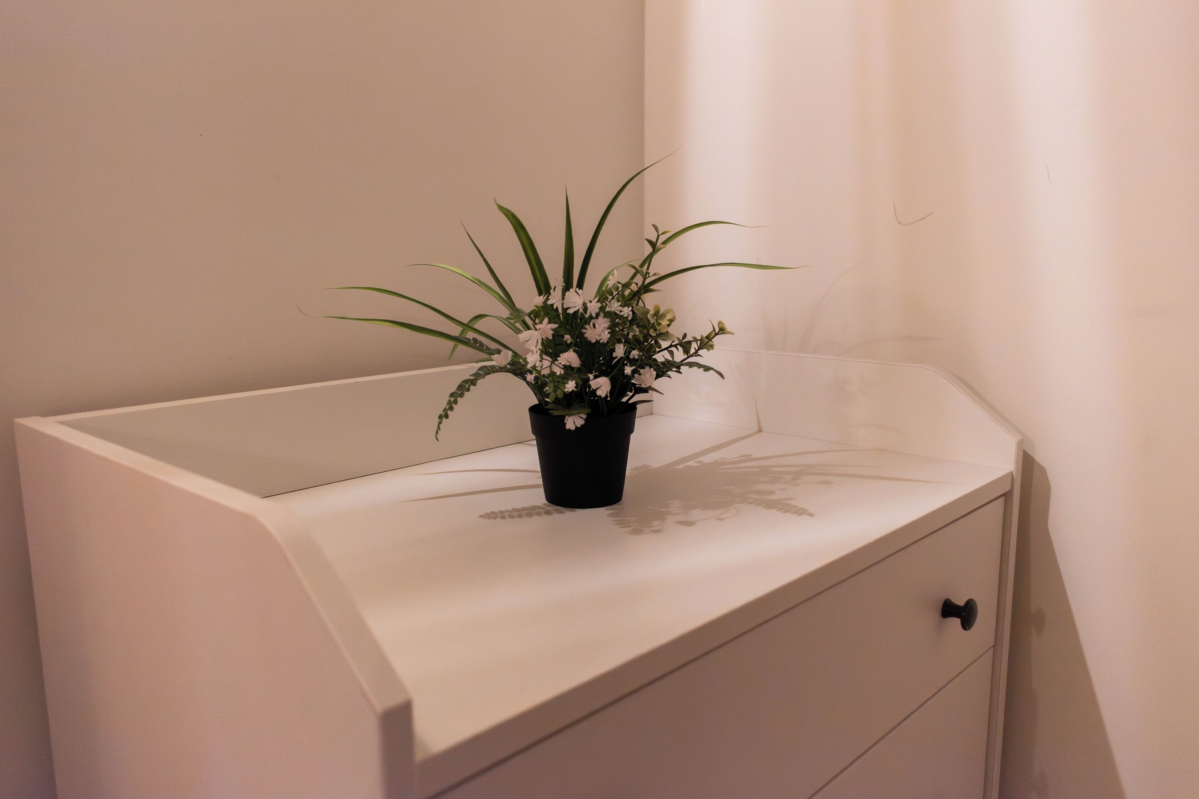 Un meuble blanc contenant un pot noir dans lequel se trouvent des fleurs blanches.