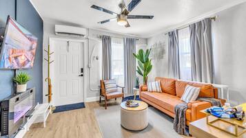 Smart TV, chimenea, libros