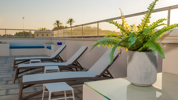 A rooftop terrace with lounge chairs, a small table, and a potted plant.