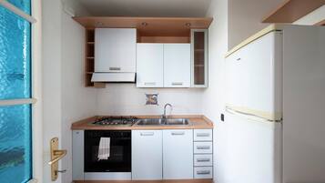 Fridge, oven, stovetop, cookware/dishes/utensils